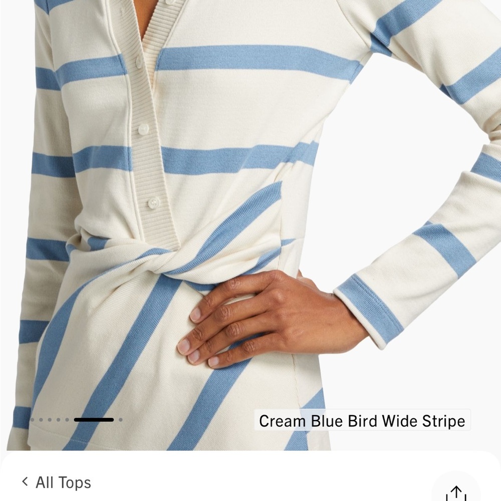 NWT Tanya Taylor Ellicot Cream and Blue V-Neck Sweater